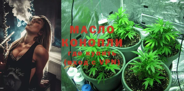 шишки Михайлов