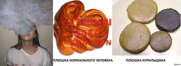 шишки Михайлов