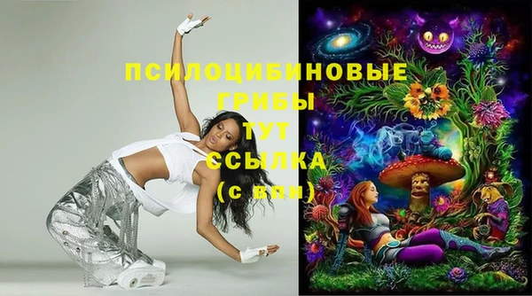 PSILOCYBIN Михайловск