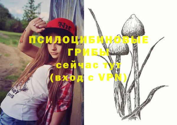 PSILOCYBIN Михайловск