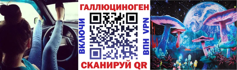 Галлюциногенные грибы Psilocybine cubensis  наркошоп  Прохладный 